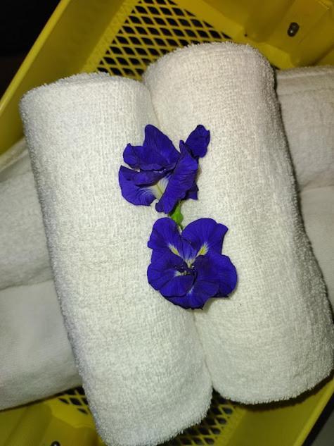 Canaan Beauty Farm B&B 成功镇 外观 照片