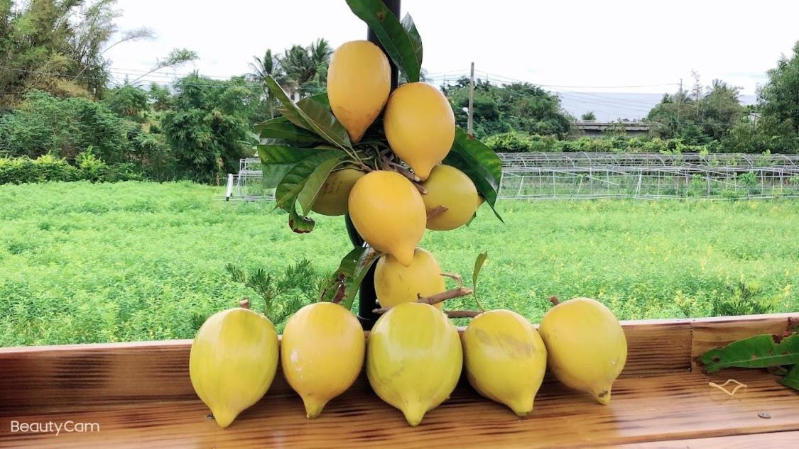 Canaan Beauty Farm B&B 成功镇 外观 照片