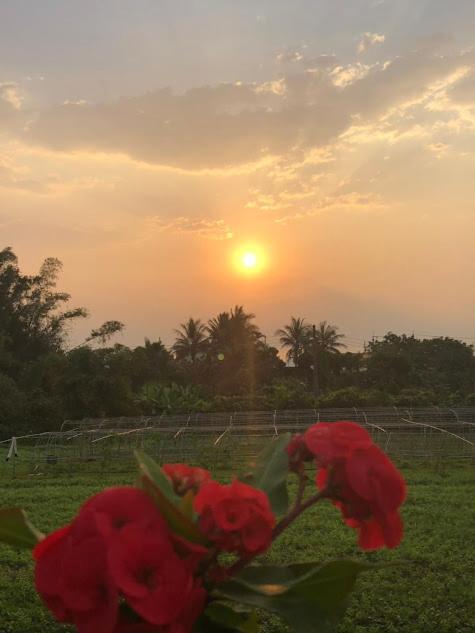 Canaan Beauty Farm B&B 成功镇 外观 照片