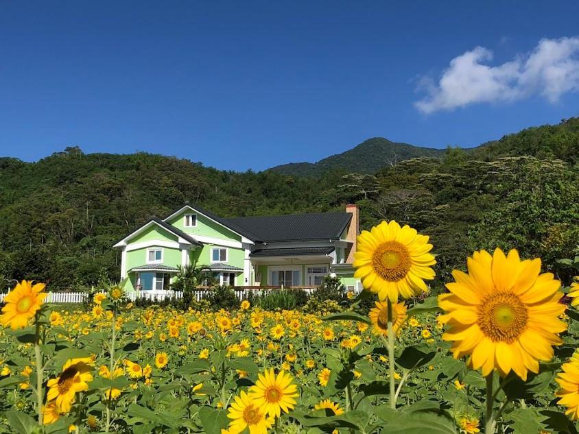 Canaan Beauty Farm B&B 成功镇 外观 照片