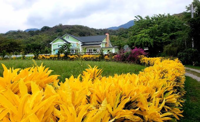 Canaan Beauty Farm B&B 成功镇 外观 照片